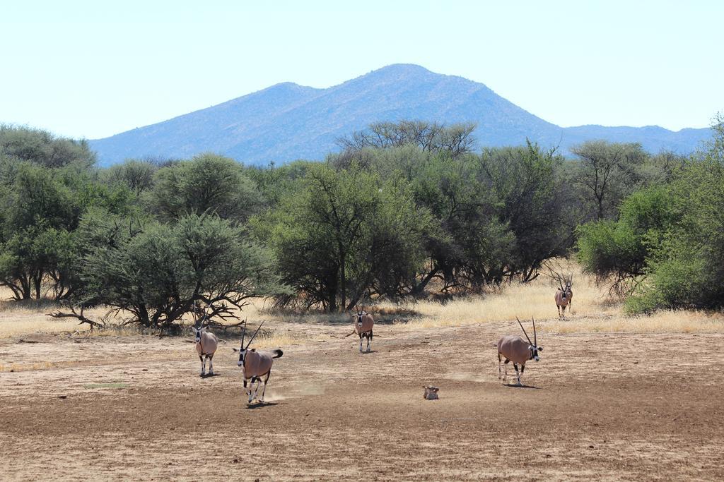Haasenhof Gastefarm Villa Okahandja Dış mekan fotoğraf