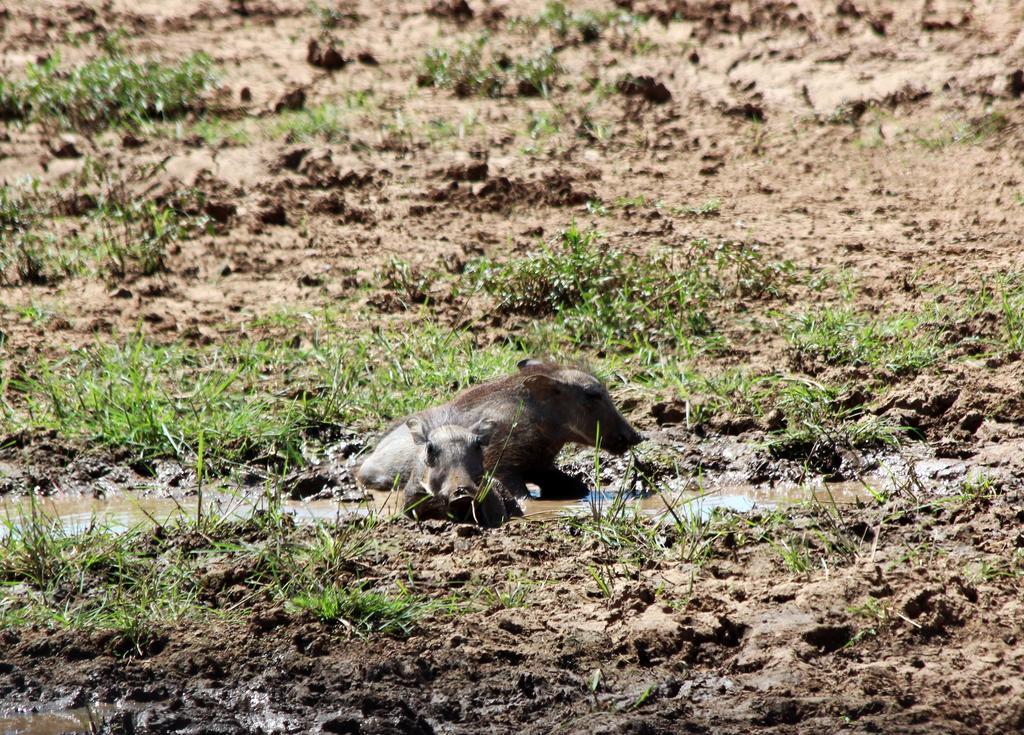 Haasenhof Gastefarm Villa Okahandja Dış mekan fotoğraf